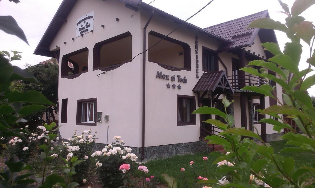 Pensiunea Alex Si Tedi Horezu Zimmer foto