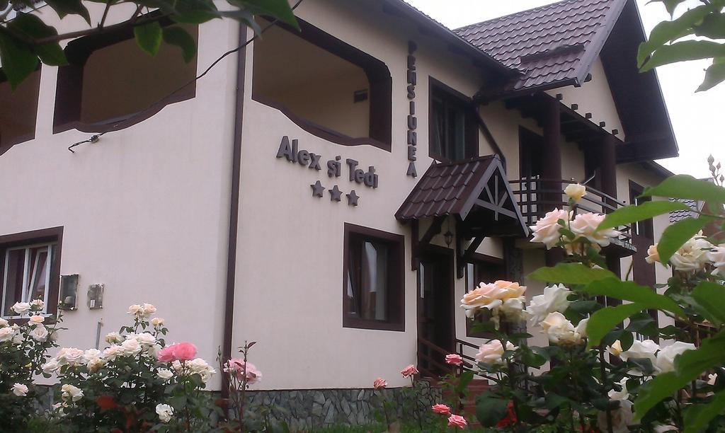 Pensiunea Alex Si Tedi Horezu Exterior foto