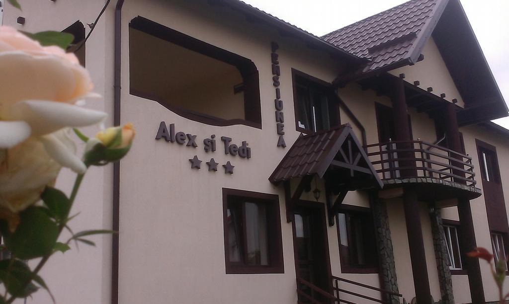 Pensiunea Alex Si Tedi Horezu Exterior foto
